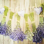 別荘 Wczasymazurskie - Caloroczny 