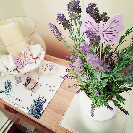 Wczasymazurskie - Caloroczny 