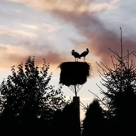 度假居 Wczasymazurskie - Caloroczny 