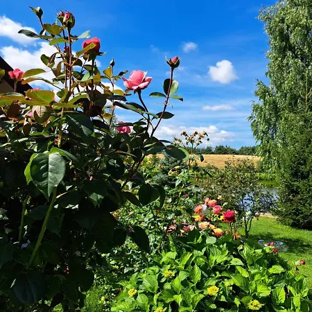 Wczasymazurskie - Domek Caloroczny Lawenda Mazury- Balia Holiday home