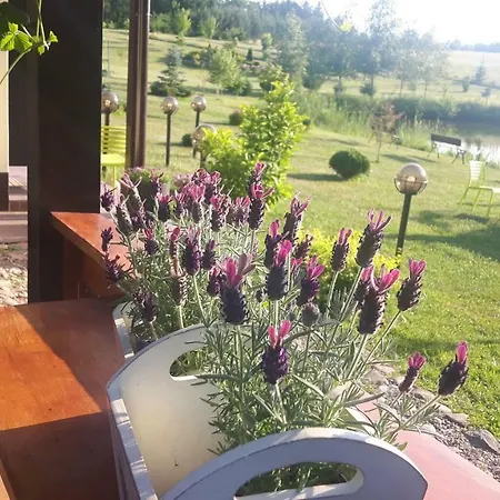 Wczasymazurskie - Domek Caloroczny Lawenda Mazury- Balia Holiday home *