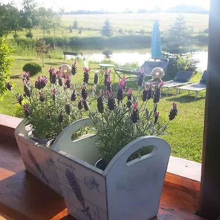 Wczasymazurskie - Domek Caloroczny Lawenda Mazury- Balia Holiday home Moldzie