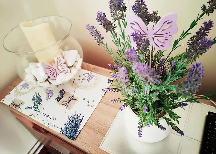 Wczasymazurskie - Caloroczny 