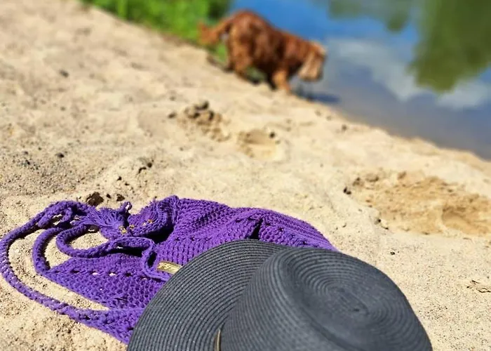 Holiday home Wczasymazurskie - Caloroczny 