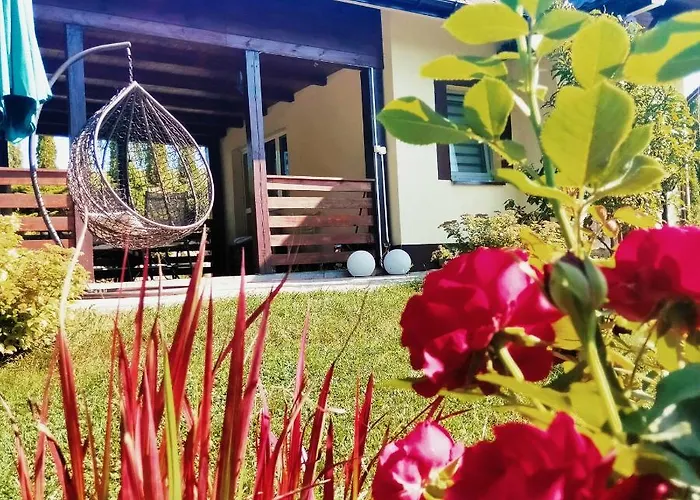 Wczasymazurskie - Caloroczny 