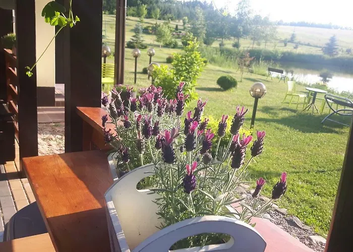 Wczasymazurskie - Caloroczny 