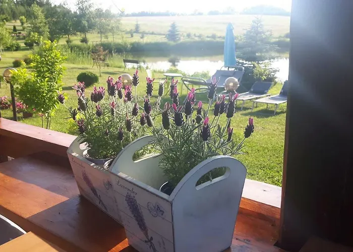 Wczasymazurskie - Caloroczny 